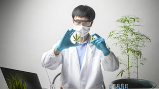 High-Efficiency Bioprocessing