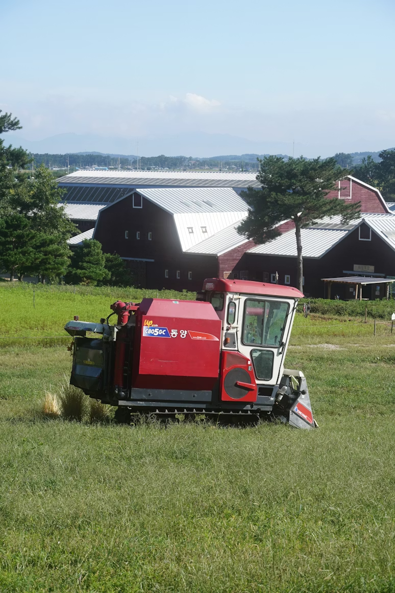 Mini Loader